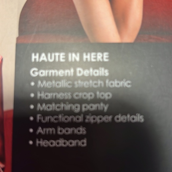 NIB SEXY Costume Set - Picture 9 of 11